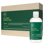 Tea Tree Lemon Sage Beauty Hair Program - Shampoo + 12 x 6 ml Hair Lotion